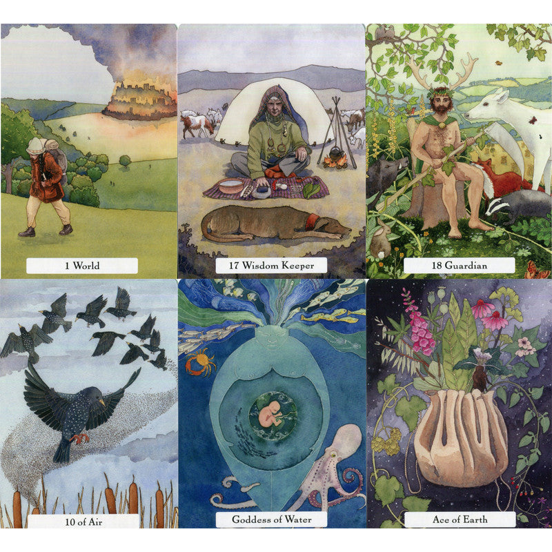 The Witches' Wisdom Tarot - Phyllis Curott