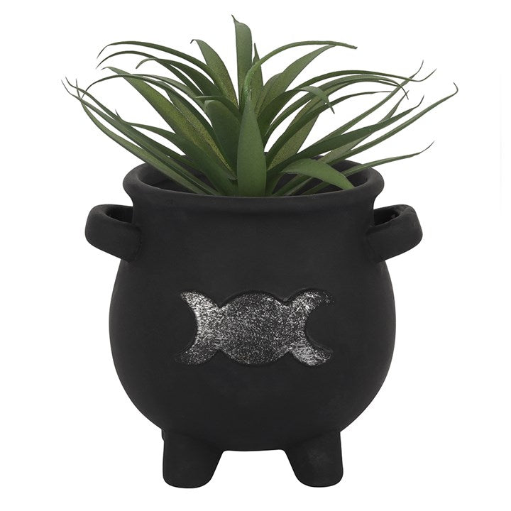 Triple Moon Plant Pot